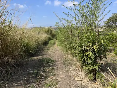 Terreno en venta en Emiliano Zapata - foto 2