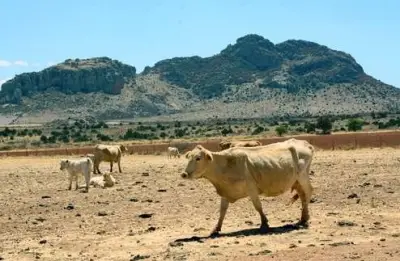 VENTA RANCHO GANADERO