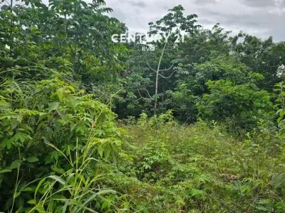 Terreno Oportunidad - 2,500m2, 15 pte Tulum, 5 min de playa