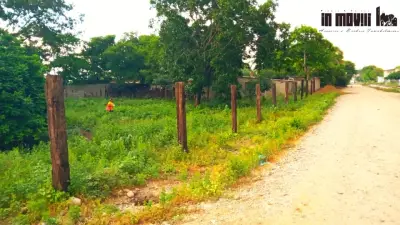 Terreno en venta en Santo Domingo Tehuantepec - foto 4