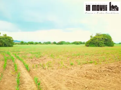 Terrenos – hectareas en venta en Salina Cruz - tehuantepec.