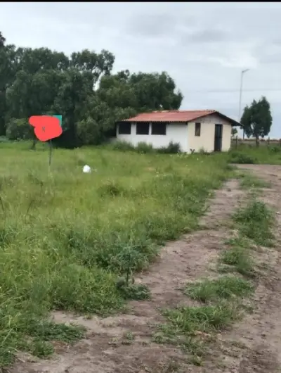 Terreno en venta en Huichapan - foto 3