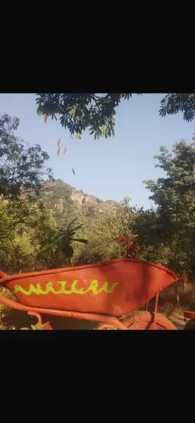Terreno en venta en Tepoztlán - foto 5