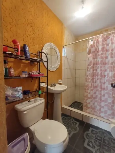 Casa en venta en San Francisco del Rincón - foto 4