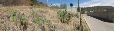 Terreno en Venta en La Huerta, Temascalcingo, Edo. de Méx.