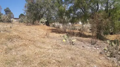 Terreno en venta en Temascalcingo - foto 2