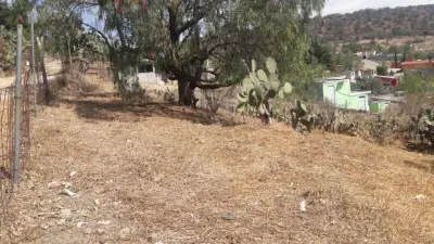 Terreno en venta en Temascalcingo - foto 3