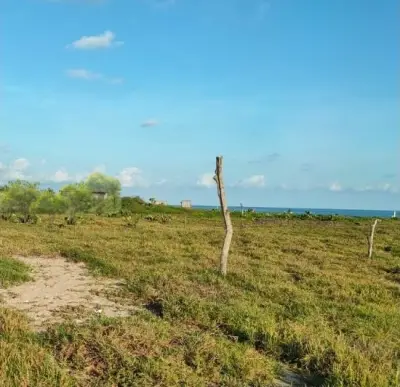 Terreno en venta en Santa María Tonameca - foto 3