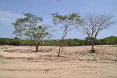 TERRENO EN TIERRA BLANCA