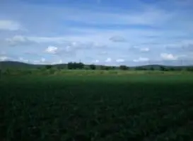Terreno en venta en Yautepec - foto 2