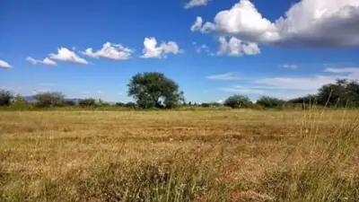 Terreno en venta en León - foto 4