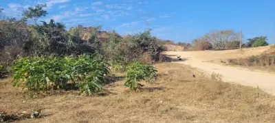 Terreno en venta en Puerto Vallarta - foto 4