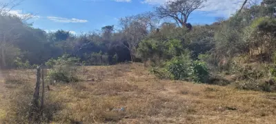 Terreno en venta en Puerto Vallarta - foto 2