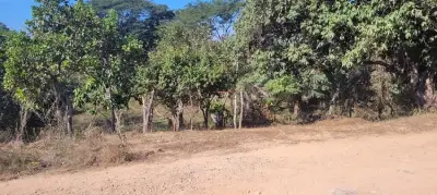 Terreno en venta en Puerto Vallarta - foto 3