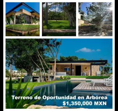 VENTA DE TERRENO EN PRIVADA ARBOREA CONKAL 