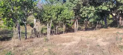 Terreno en venta en Puerto Vallarta - foto 4