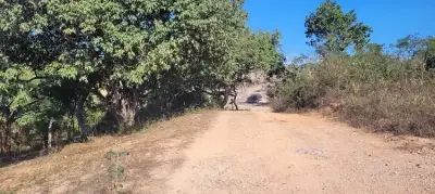 Terreno en venta en Puerto Vallarta - foto 5