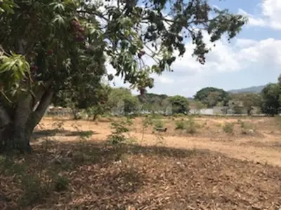 TERRENO EN VENTA EN EL TUITO – SOBRE AUTOPISTA PV–COLIMA