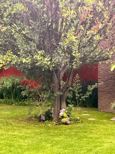 Casa en renta en Cuernavaca - foto 3