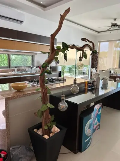 Casa en venta en Cancun - foto 4