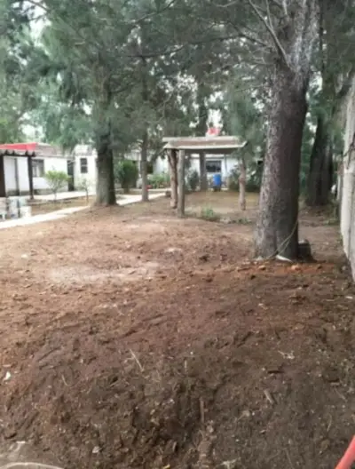 Casa en venta en Ixtapaluca - foto 3