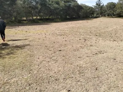 TERRENO VENTA CHIGNAHUAPAN PUEBLA