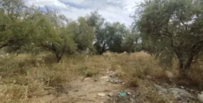 Terreno en venta en Hermosillo - foto 4