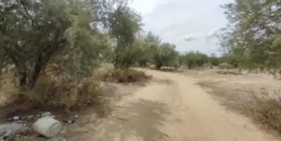 Terreno en venta en Hermosillo - foto 5