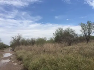 Terreno en venta en Hermosillo - foto 3