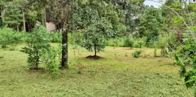 Terreno en venta en Valle de Bravo - foto 3