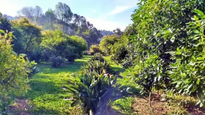 Terreno en venta en Valle de Bravo - foto 3