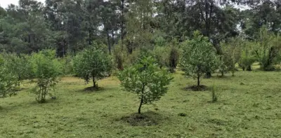 Terreno en venta en Valle de Bravo - foto 4
