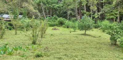 Terreno en venta en Valle de Bravo - foto 2