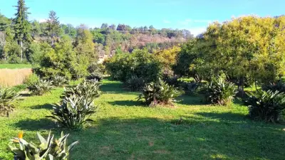 Terreno en venta en Valle de Bravo - foto 4