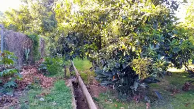 Terreno productivo con agua ideal para producir o para vivir