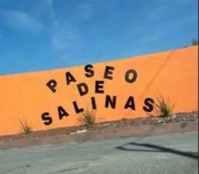 Terreno en venta en Salinas Victoria - foto 2