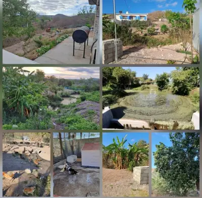 Rancho en venta en Mazatlán - foto 3