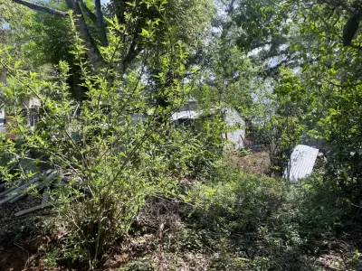 Terreno en venta en Tlalnelhuayocan - foto 5