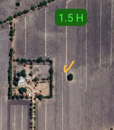 Terreno en venta en San Miguel de Allende - foto 4