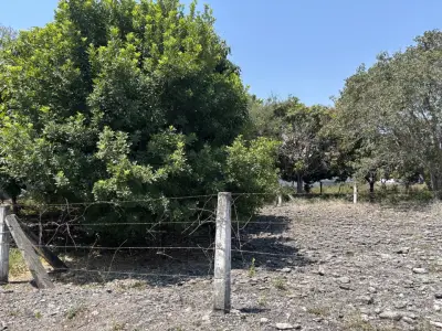 Terreno en venta en Tlalnelhuayocan - foto 3