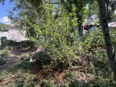 Terreno en venta en Tlalnelhuayocan - foto 4