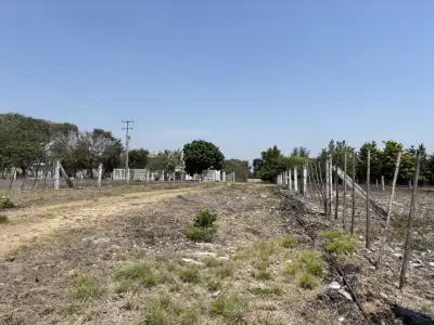 Terreno en venta en Tlalnelhuayocan - foto 4