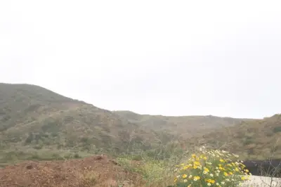 Terreno en venta en Ensenada - foto 3
