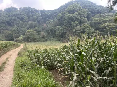 Terreno en venta en Emiliano Zapata - foto 3