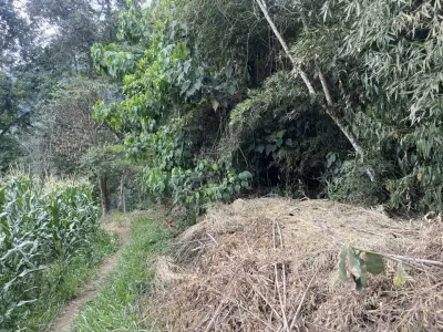 Terreno en venta en Emiliano Zapata - foto 2