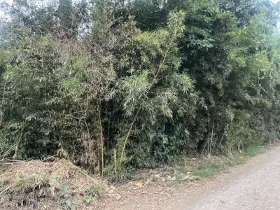 Terreno en venta en Emiliano Zapata - foto 5
