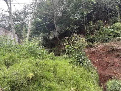 Terreno PARA CABAÑA