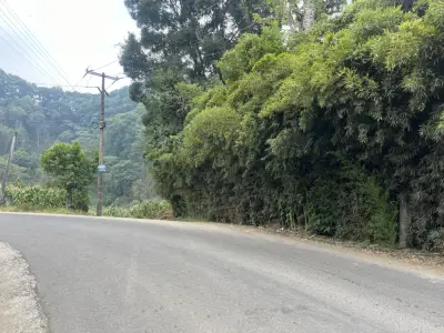 Terreno en venta en Emiliano Zapata - foto 4