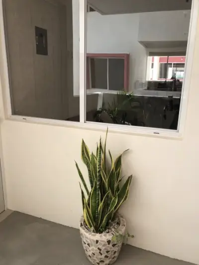 Departamento en venta en Nacajuca - foto 2
