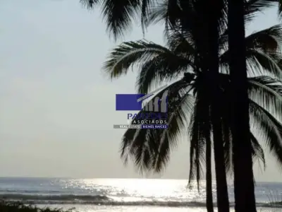 Pantla zona Ixtapa 113 hectareas 800m2 frente de playa T539